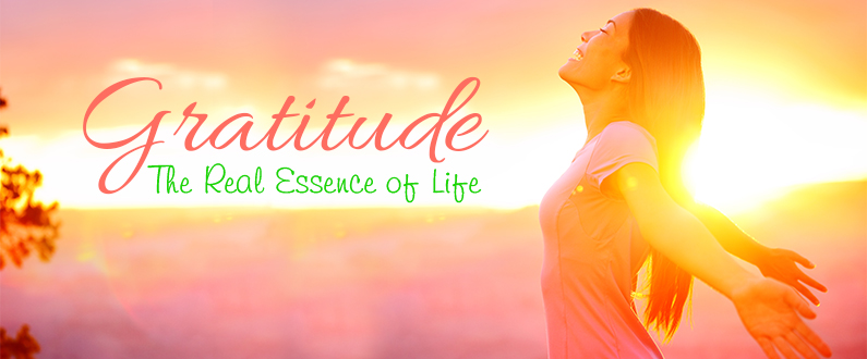 The Amazing Power of Gratitude!